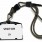 Visitor_Badge